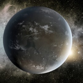 Life in the Cosmos