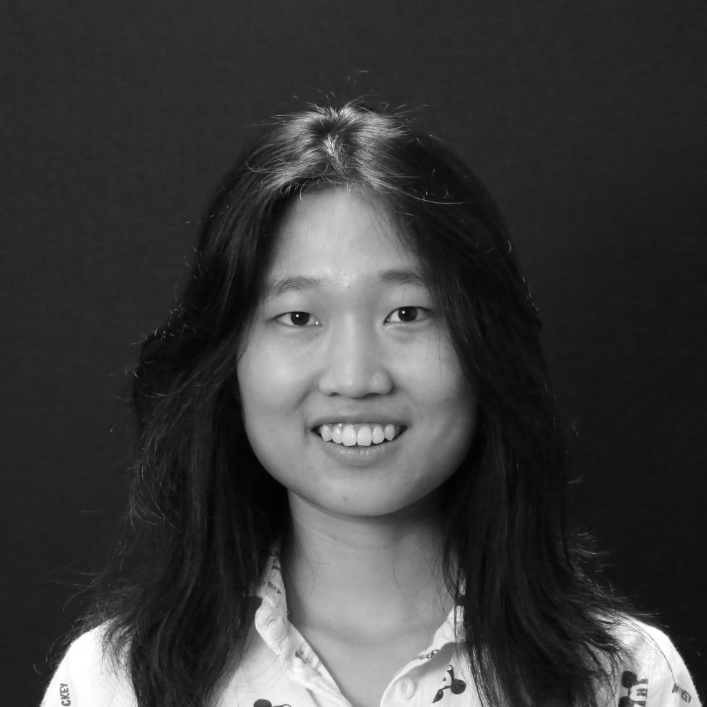 Dongzi Li