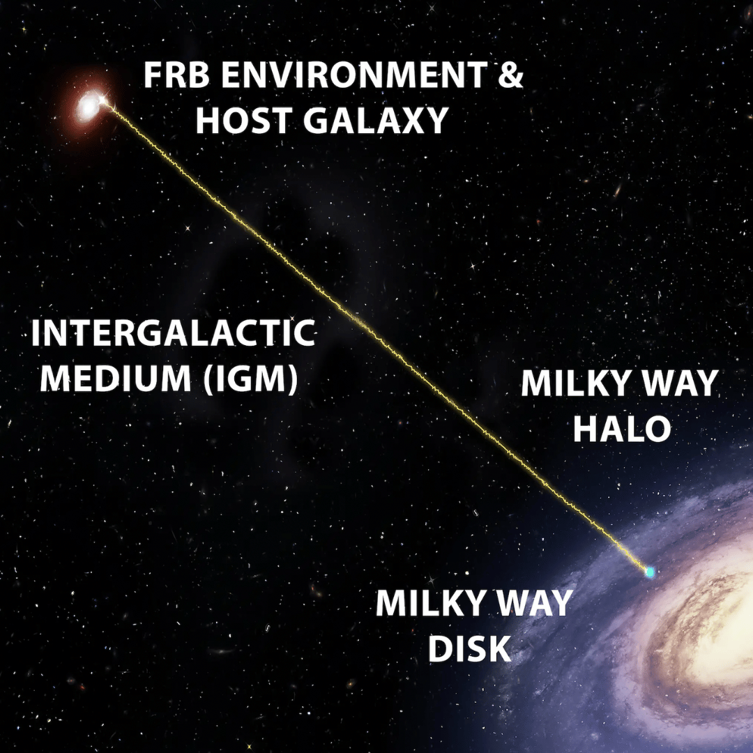 Fast Radio Bursts Shine New Light on Milky Way Halo
