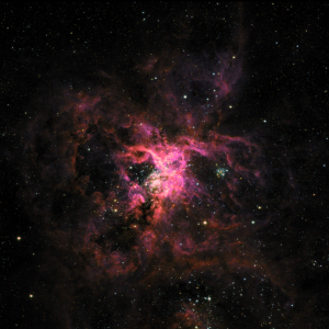 The Tarantula nebula appears as a vivid burst of pink, red and gold in the center of the black, star-dusted background of space. The nebula is intensely colored near the center of the image, fading to dusty clouds of dark red and purple toward the edges. The entire nebula has the appearance of a bright cloud of glowing dust. Many stars are visible in the background, including shining through the nebula.