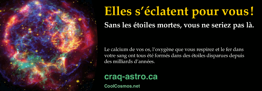 Elles s'éclatent pour vous! Sans les étoiles mortes, vous ne seriez pas là. Le calcium de vos os, l'oxygène que vous respirez et le fer dans votre sang ont tous été formés dans des étoiles disparues depuis des milliards d'années.