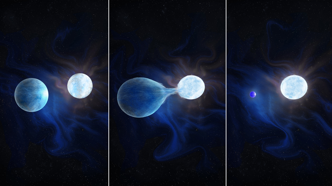 Astronomers discover first population of binary stripped stars